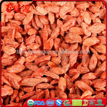 Baya de goji de sabor suave bayas de goji calientes, bayas de goji secas